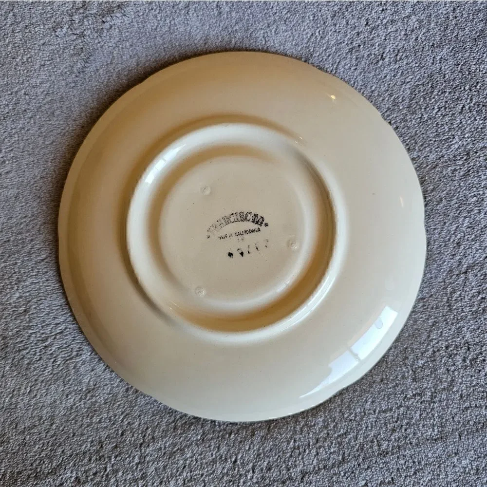 Vintage Franciscan Apple Print Teacup And Saucer Set